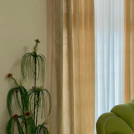Vila Albert بيت للعطل فلورا
